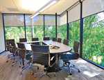 Treehouse Conference Room